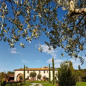 Ai Condotti Di Pisa Da Filippo Bed and breakfast San Giuliano Terme
